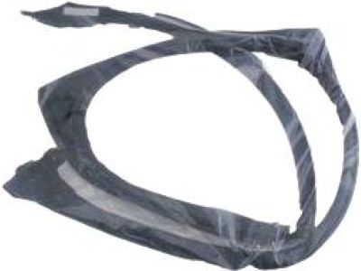 Toyota 63628-17021 Weatherstrip, Removable Roof, Driver Side