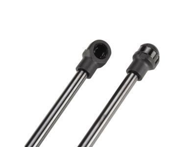 Scion 68960-0W591 Lift Cylinder