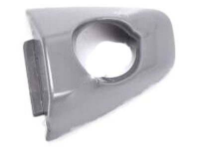 Scion 69250-06020-A0 Handle Cover