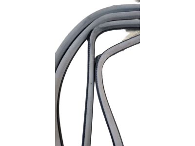 Toyota 68141-60040 Run, Front Door Glass, Passenger Side