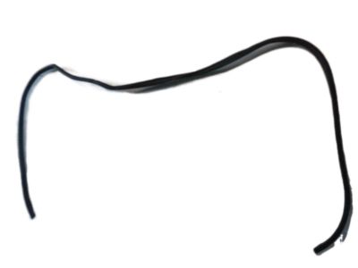 2012 Toyota Tacoma Door Seal - 62311-04041