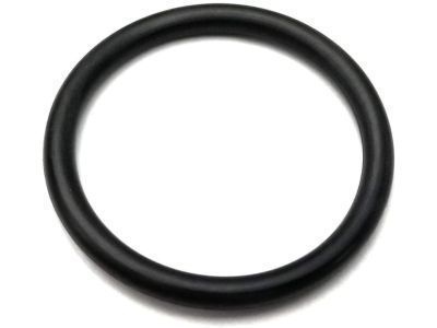 Scion SU003-02189 Ring,  O(For Water Inlet)