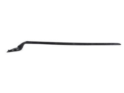 Toyota 75536-10070 Side Molding