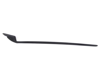 Toyota 75536-10070 Side Molding