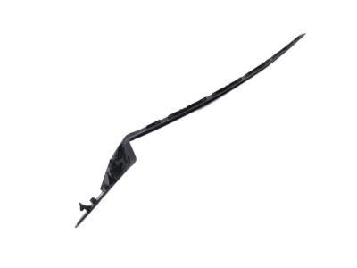 Toyota 75536-10070 Side Molding