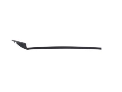 Toyota 75536-10070 Side Molding