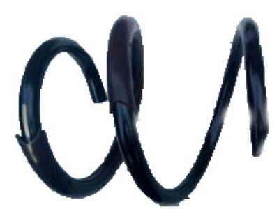 Toyota 48131-AE043 Coil Spring, Front