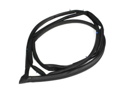 2004 Toyota Tundra Door Seal - 62312-0C020