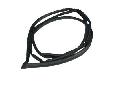 Toyota Weather Strip - 67881-60060