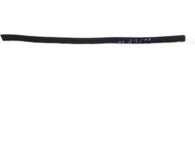 Toyota 68172-52050 Weatherstrip, Front Door Glass, Inner Driver Side
