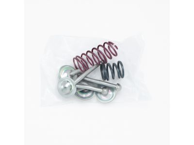 Toyota 04941-28010 Spring Kit, Rear Brake Shoe Hold Down