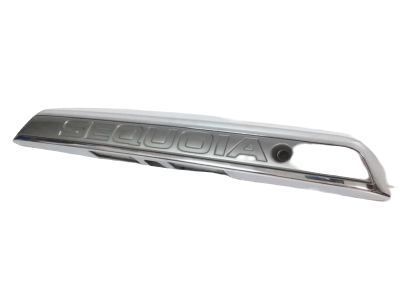 Toyota 76801-0C050 License Molding