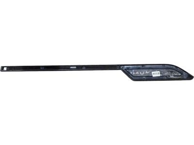 75072-0C020 Toyota Body Side Molding, Outside Driver Side Product Photo 6 of 6