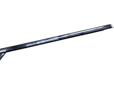 75072-0C020 Toyota Body Side Molding, Outside Driver Side Product Photo 3 of 6