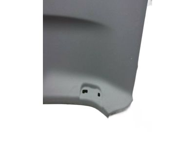 Toyota 63310-06C70-B0 Headliner, Gray