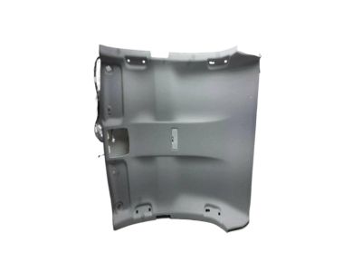 Toyota 63310-06C70-B0 Headliner, Gray