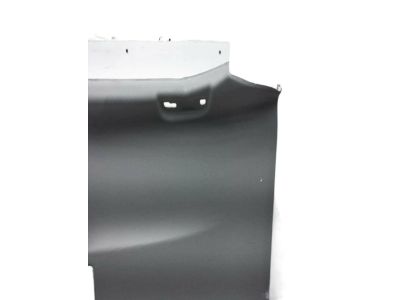 Toyota 63310-06C70-B0 Headliner, Gray