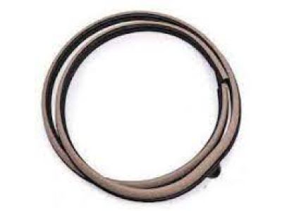 Toyota 62312-48050-A0 Weatherstrip On Body, Driver Side