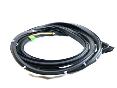 Toyota Land Cruiser Weather Strip - 67861-60101