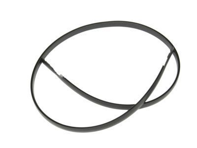 Scion 75556-12170 Moulding,  Roof Drip Side Finish,  Center LH