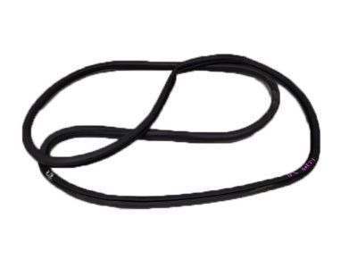 Toyota Land Cruiser Door Seal - 62331-60081