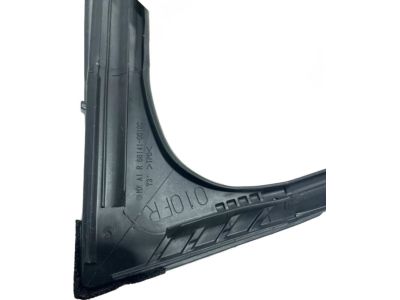 68141-06191 Toyota Run Weatherstrip, Passenger Side Product Photo 3 of 6