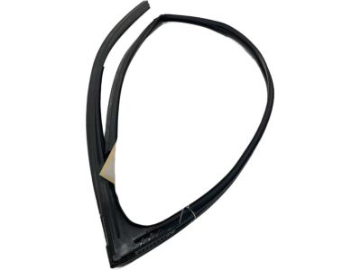 68141-06191 Toyota Run Weatherstrip, Passenger Side Product Photo 2 of 6