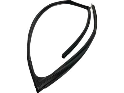 68141-06191 Toyota Run Weatherstrip, Passenger Side Product Photo 6 of 6