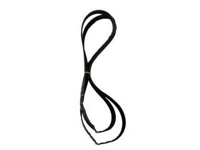 Toyota MR2 Spyder Drive Belt - 99366-J1690