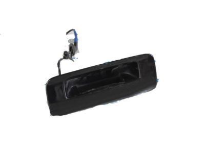 Toyota Sequoia Door Handle - 76802-0C010-B1
