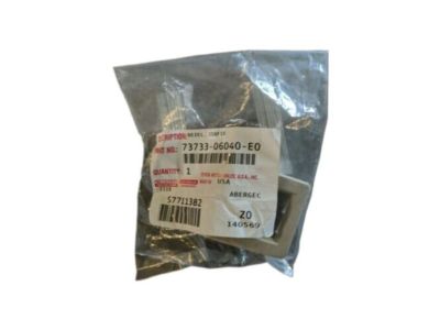 Toyota 73731-12020-A0 Blank Cover