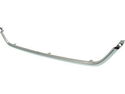 Scion 53141-WB002 Chrome Strip