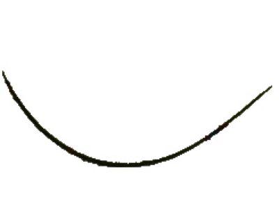 Toyota 75556-33010 Moulding,  Roof Drip Side Finish,  Center LH