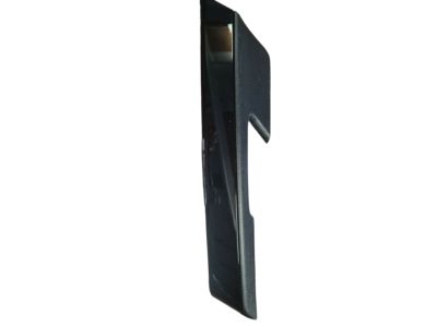 Scion 74640-12120-C2 Grip Handle
