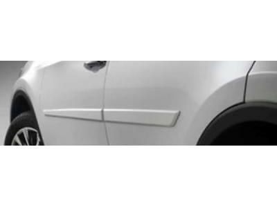 Toyota Prius Door Moldings - PT938-47160-02