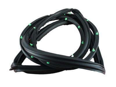 Toyota Land Cruiser Weather Strip - 67871-60041