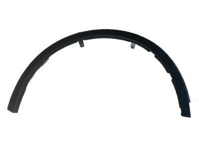 Toyota 75601-F4010 Wheel Opening Molding