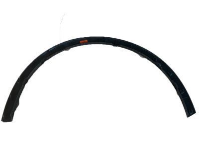 Toyota 75601-F4010 Wheel Opening Molding