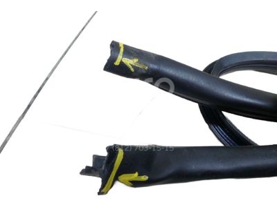 Toyota 62311-60140 Weatherstrip, Front Door Opening Trim, Passenger Side