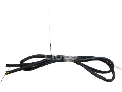 Toyota 62311-60140 Weatherstrip, Front Door Opening Trim, Passenger Side