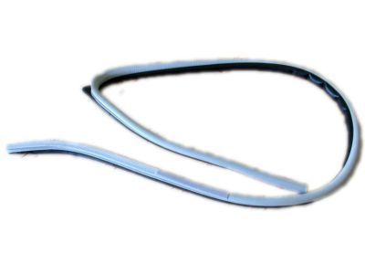 Toyota 62312-60020-B0 Weatherstrip,  Front Door Opening Trim,  LH