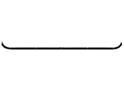 Toyota 68160-90300 Weatherstrip Assembly, Front Door Glass, Inner