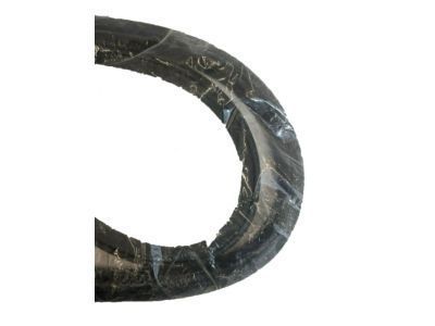 Toyota 62311-AA020 Weatherstrip On Body, Passenger Side