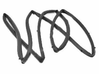 Toyota 62312-06130-A0 Weatherstrip On Body, Driver Side