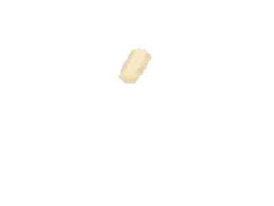 Toyota 33886-22010 Stopper,  Shift Lever