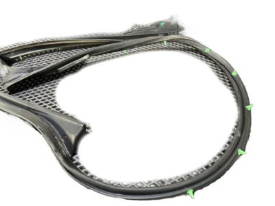 Toyota 67871-35070 Weatherstrip, Access Panel, Passenger Side