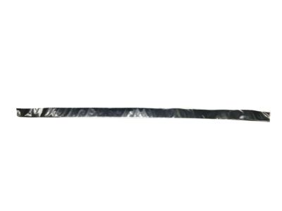 Toyota 75985-0T010 Black Out Tape, Passenger Side