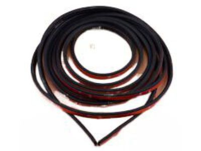 Toyota 62312-47020-B0 Weatherstrip On Body, Gray, Driver Side