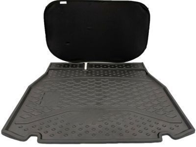 Toyota 58410-10030-C1 Floor Cover