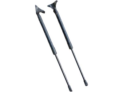 Toyota 68950-0D021 Stay Assembly, Back Door, Passenger Side